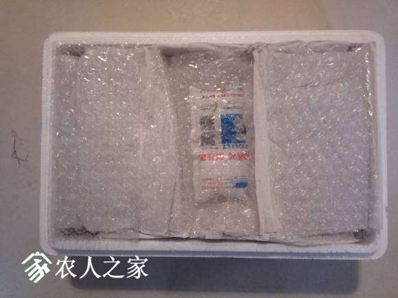 IMG_20170606_181150.jpg