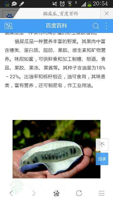 205531qldmm4s160i44ys4.png
