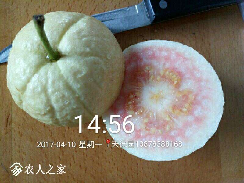 221158ks6vky9ns9nveu4n.jpg