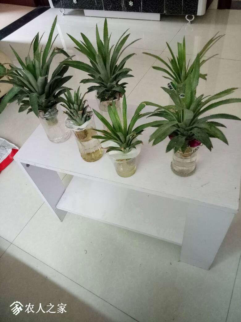 220619ho07ishwzi3esn60.jpg