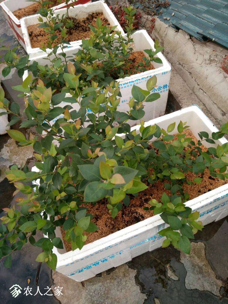 221014lw6nkmix5yivnkql.jpg