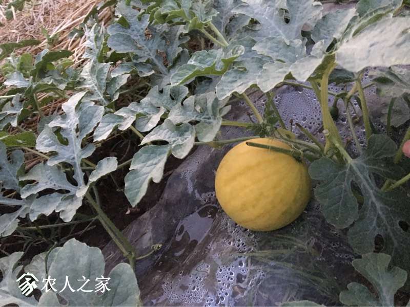 124537vz6mjmjmv6ycjyhn.jpg