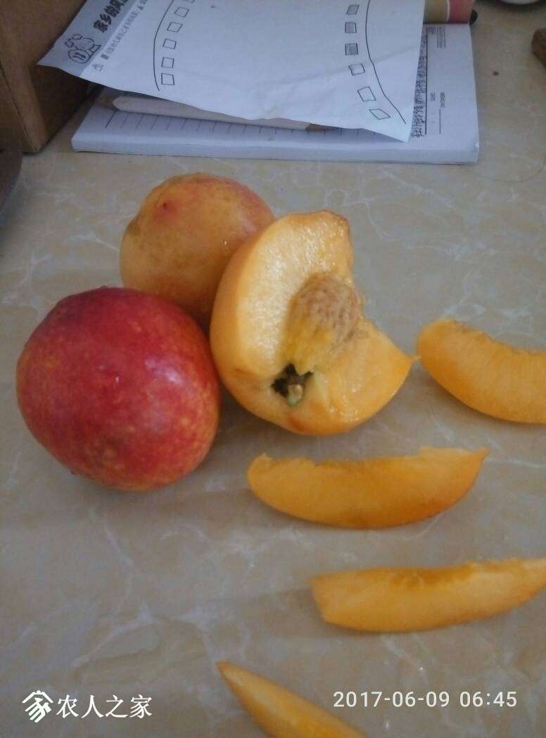 142213mshlmuakbua4bb4j.jpg