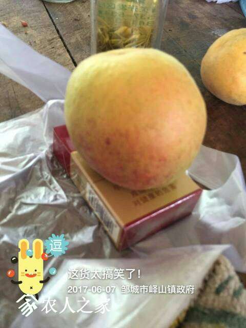 182350tllyy8t6r7l8r8y6.jpg