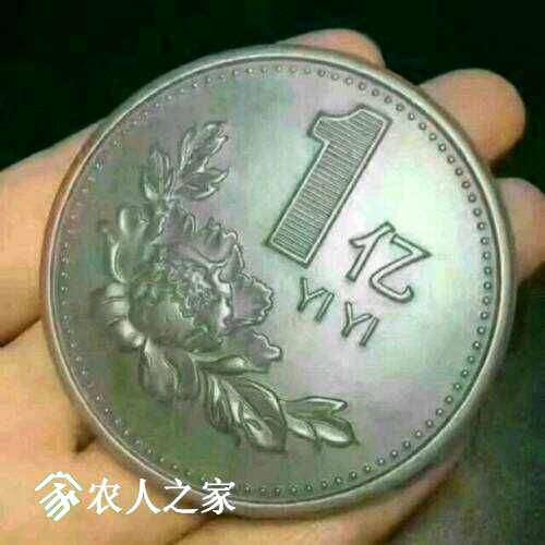 220259voloiqdgo5oxodgo.jpg