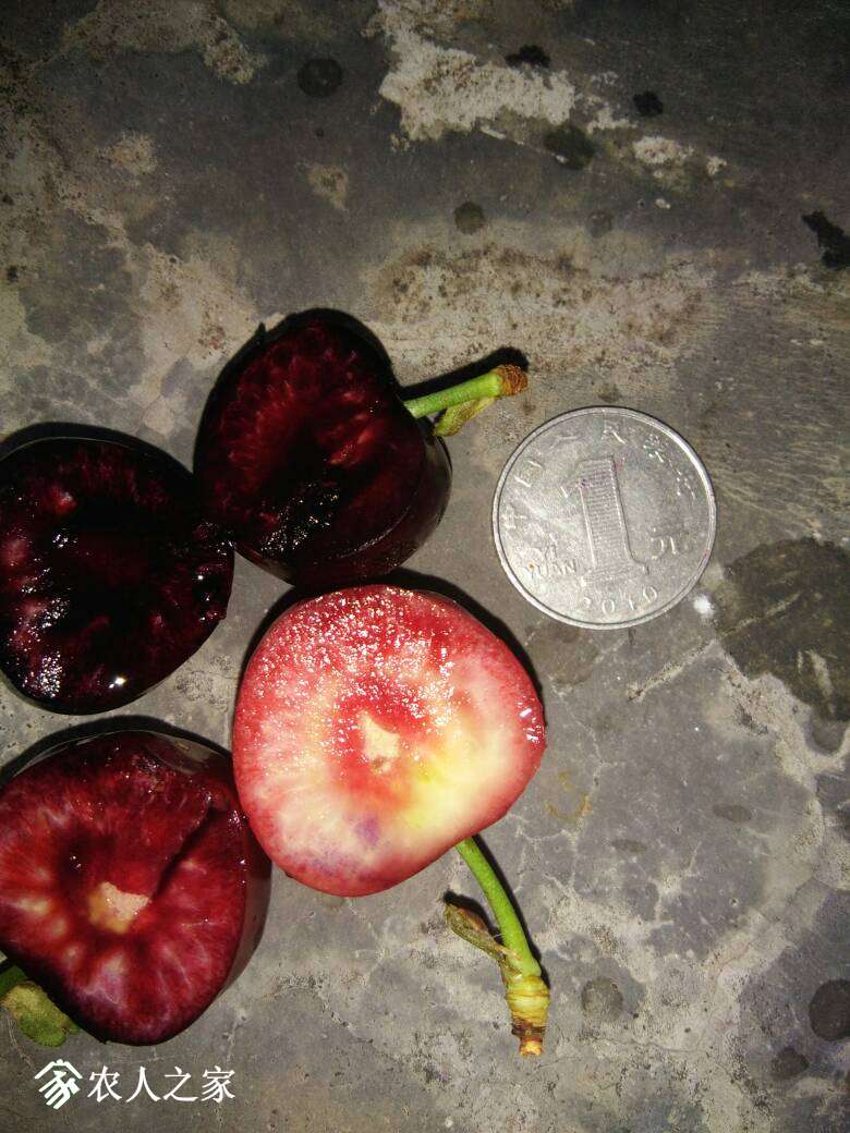 094428hpbpz6dk8pmo686y.jpg