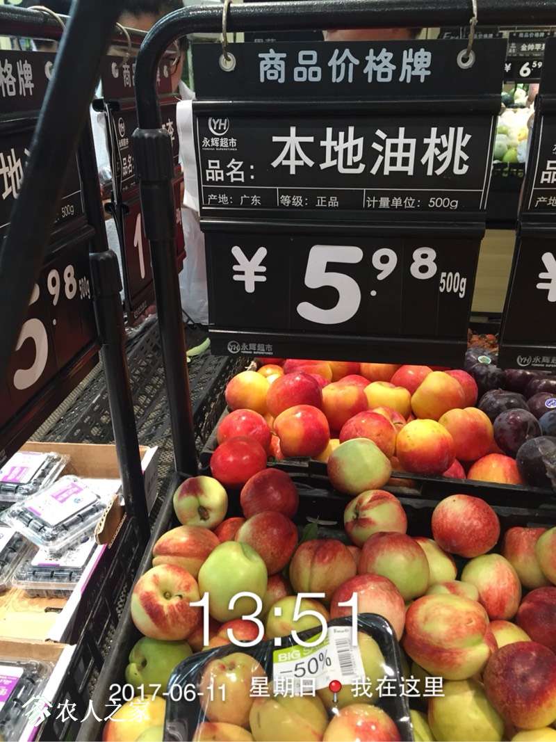 164334uxgph8208g841030.jpg