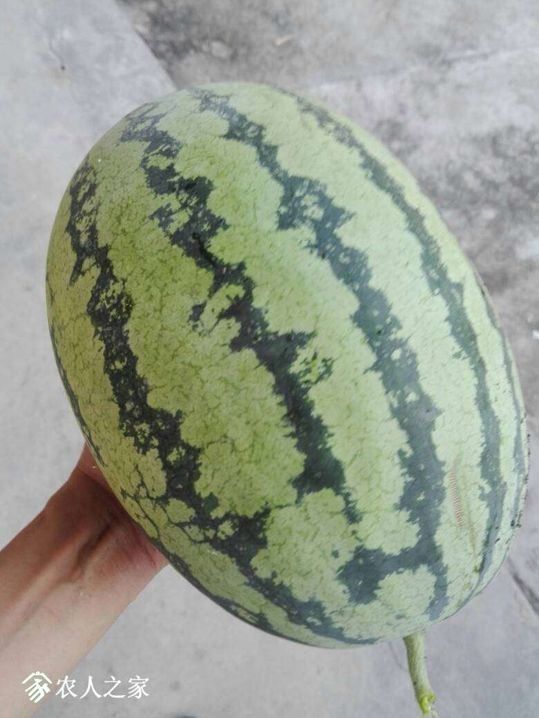 130420imzngc0ugga0c2cj.jpg