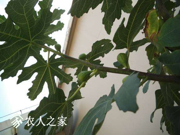 DSCF3719.JPG
