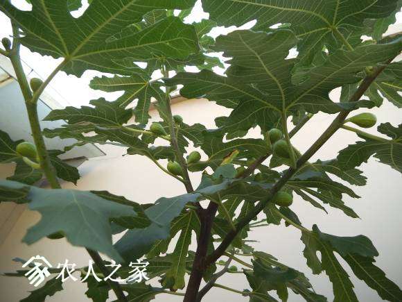 DSCF3722.JPG