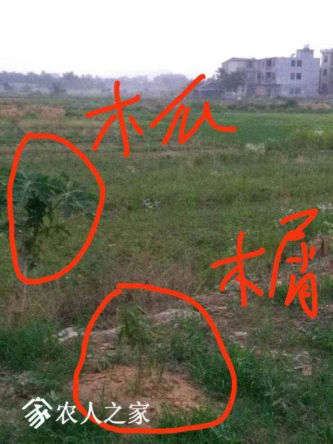 073658mthuixxtathq63gz.jpg