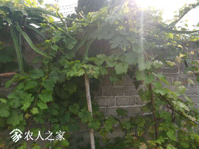 105426r1m3vm6tmqv01qsv.jpg