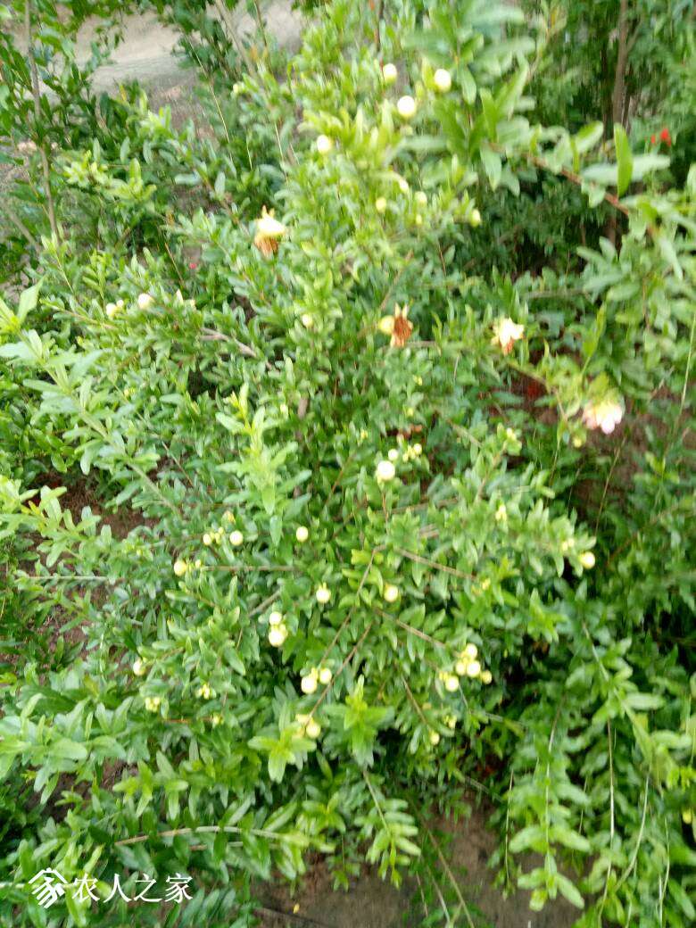 120130cpibnomjziuwkuki.jpg