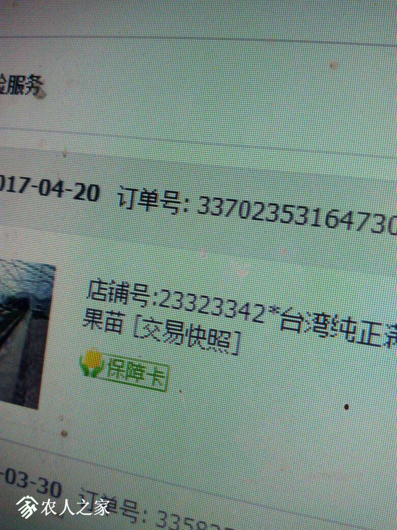 230120uq0ufqlp649wm4wf.jpg