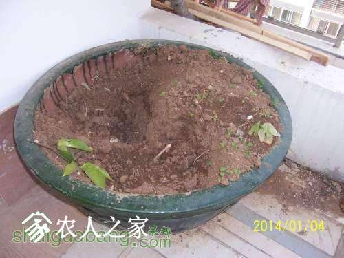 205251e2uoq776lq7wqecq.jpg