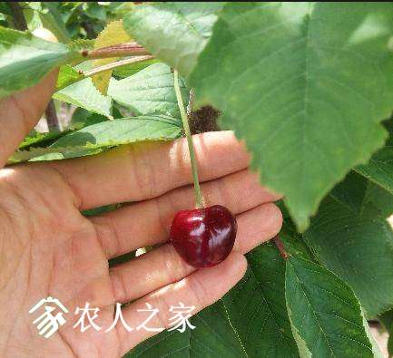 �½� ACDSee 9.0 BMP ͼ��.JPG