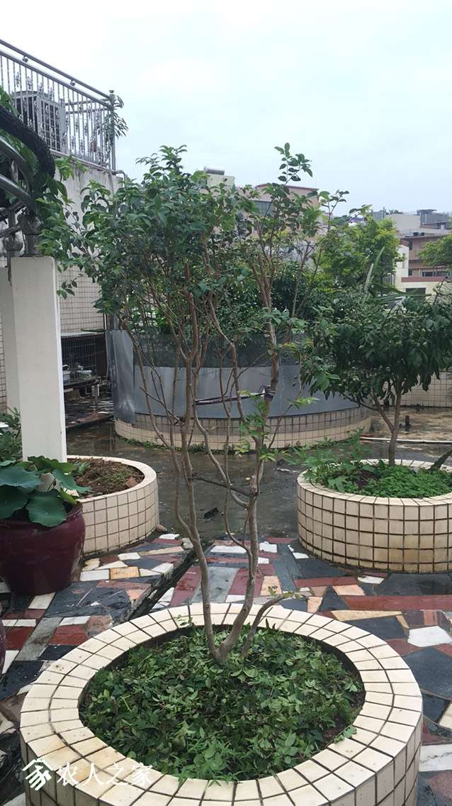 145609oanqq45icnvahe11.jpg