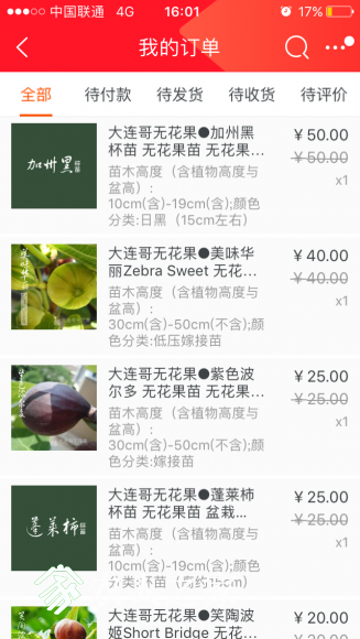 IMG_0684.PNG