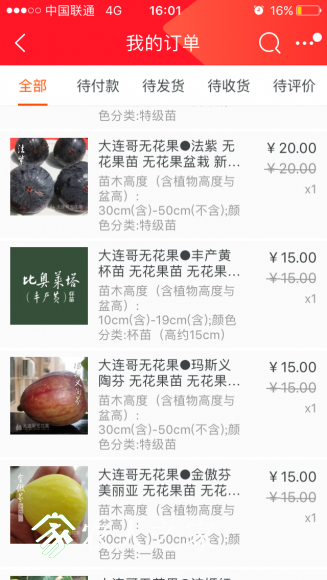 IMG_0685.PNG
