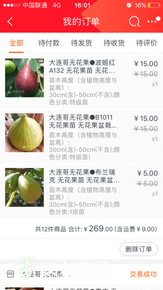 IMG_0686.PNG