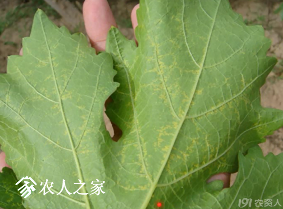 20170614_155958_052.png