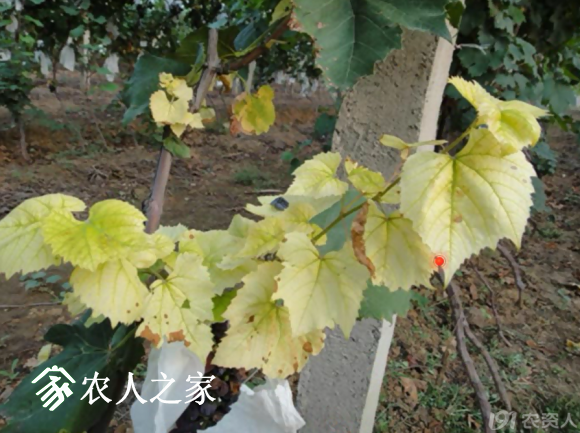 20170614_155958_054.png