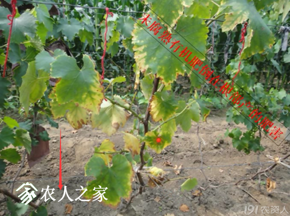 20170614_155958_060.png