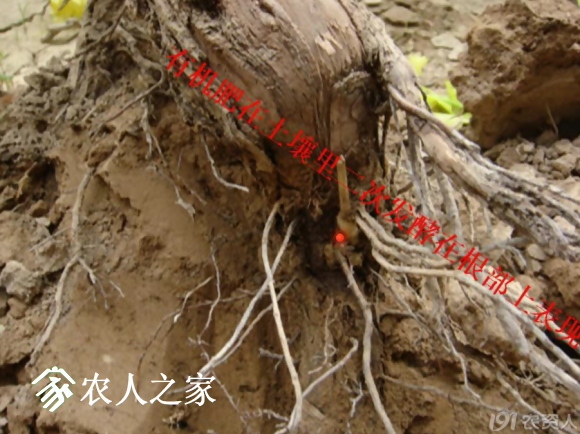20170614_155958_062.png
