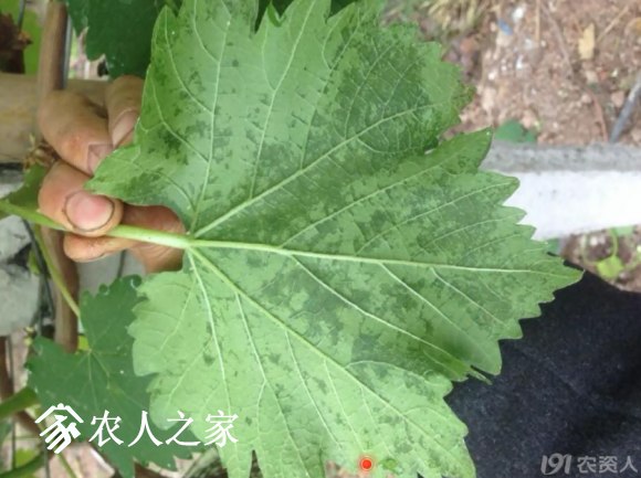 20170614_155958_021.png