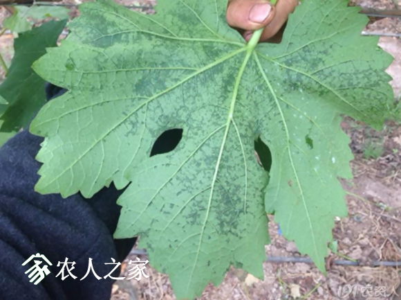 20170614_155958_022.png