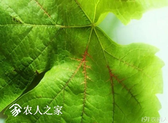 20170614_155958_023.png
