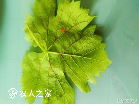 20170614_155958_024.png