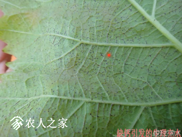 20170614_155958_028.png