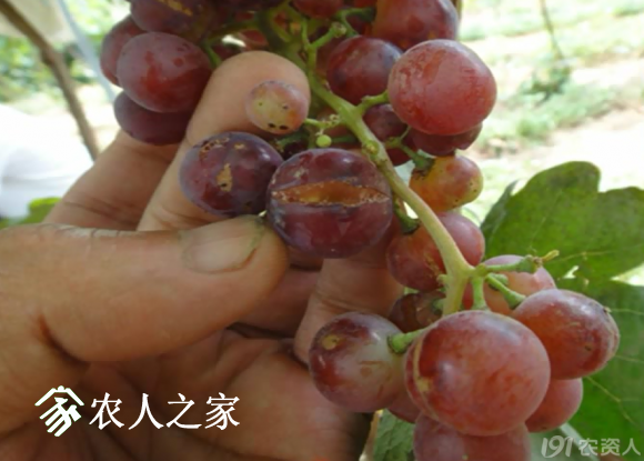 20170614_155958_029.png