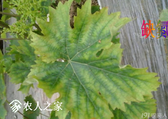 20170614_155958_030.png