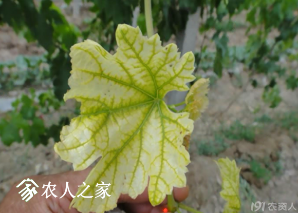 20170614_155958_031.png