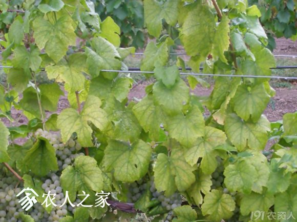 20170614_155958_032.png