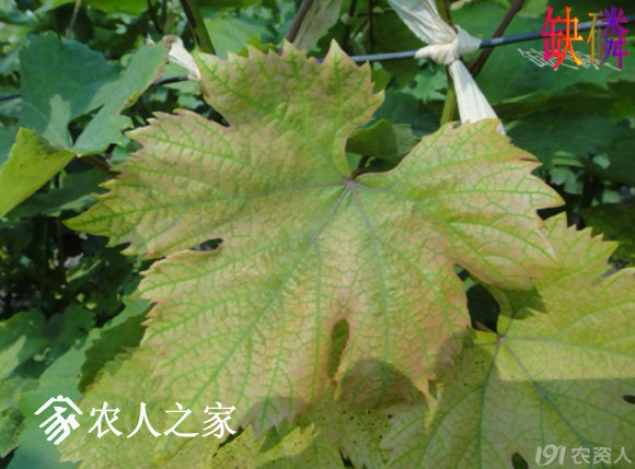 20170614_155958_033.png