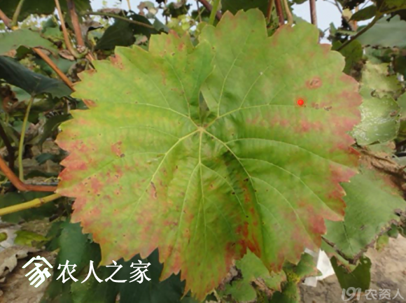 20170614_155958_034.png