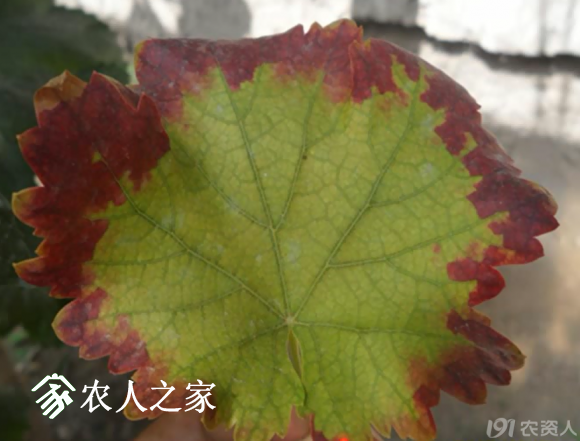 20170614_155958_035.png