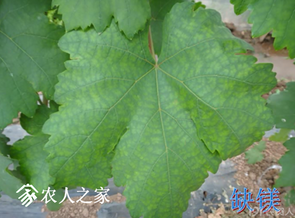 20170614_155958_038.png