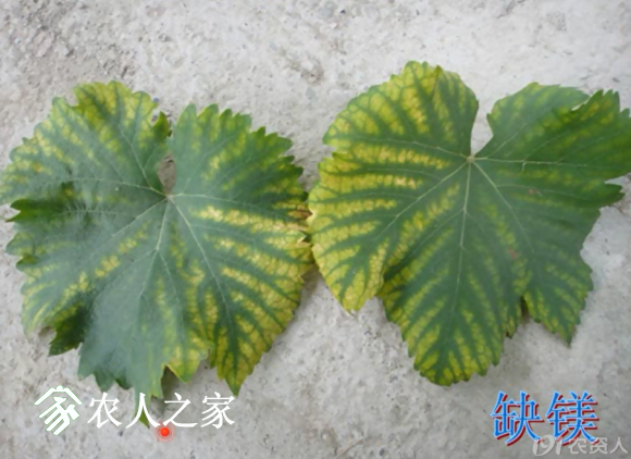20170614_155958_039.png