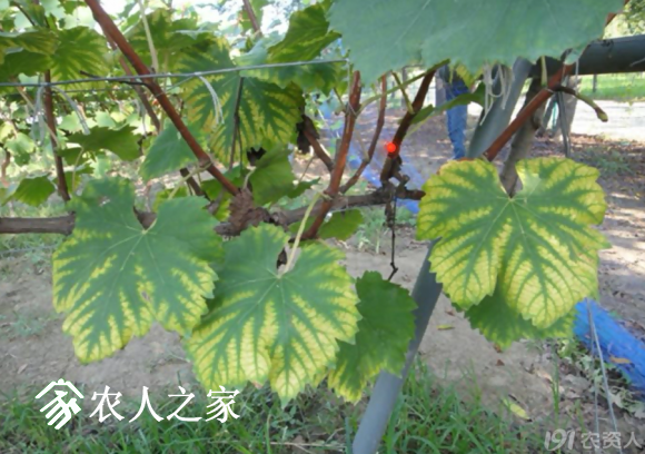 20170614_155958_040.png