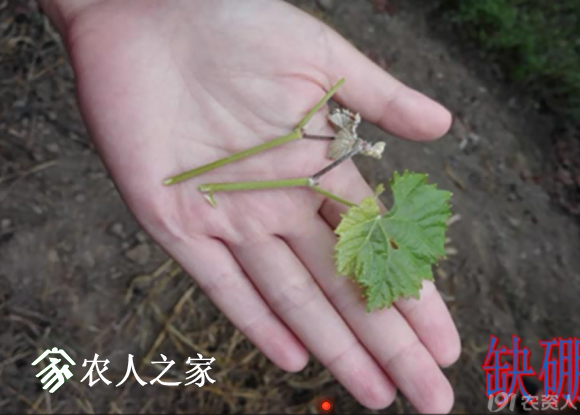 20170614_155958_041.png