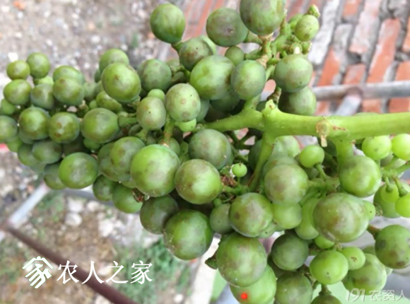 20170614_155958_043.png