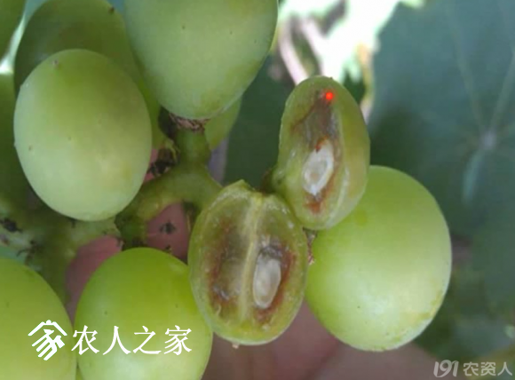 20170614_155958_045.png