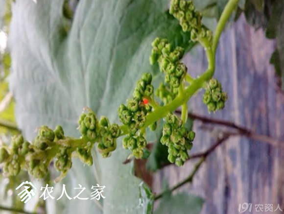 20170614_155958_046.png