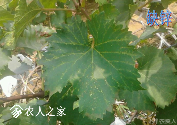 20170614_155958_047.png