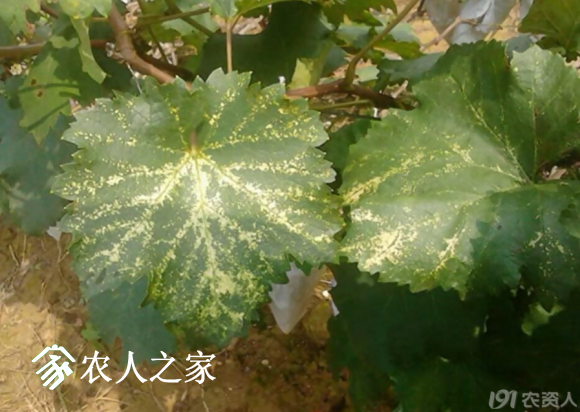20170614_155958_048.png