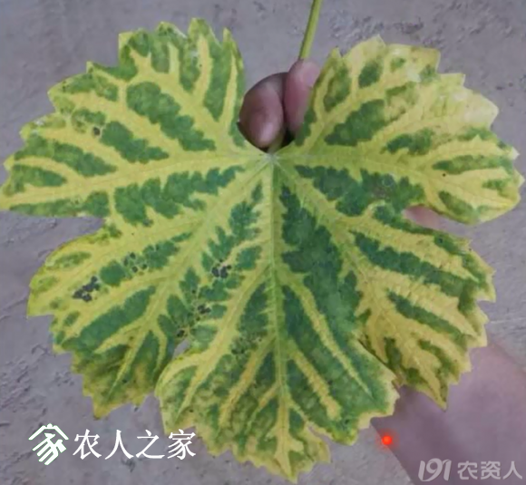 20170614_155958_050.png
